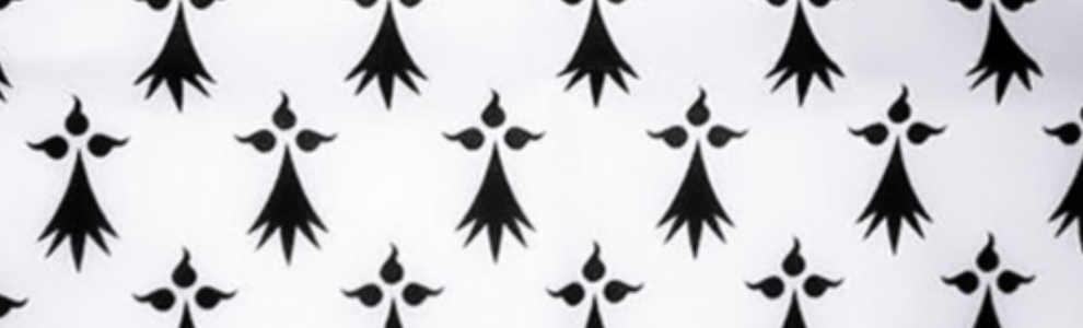 Alumni Rennes/Bretagne